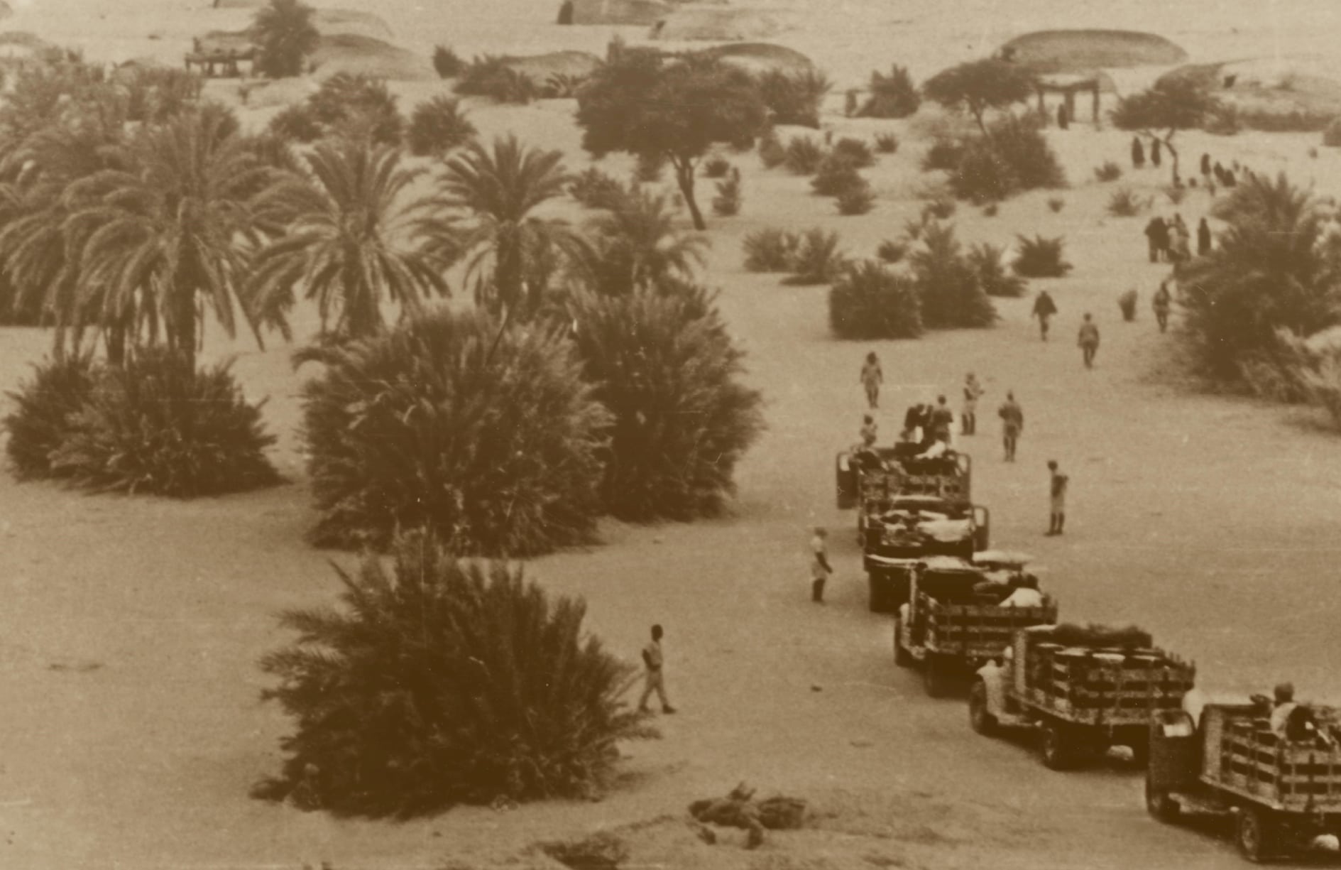 Les soldats du désert : Leclerc et les Britanniques (1940-1943) EXPOSITION