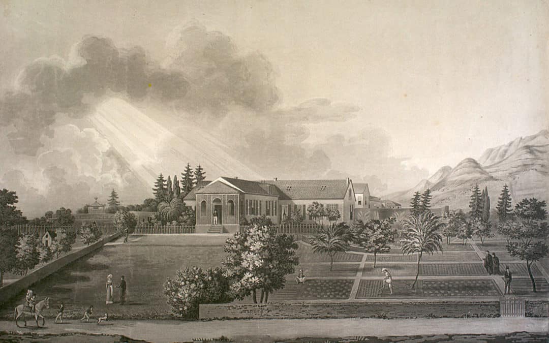 Le dernier exil :  Le quotidien  de Napoléon  à Sainte-Hélène