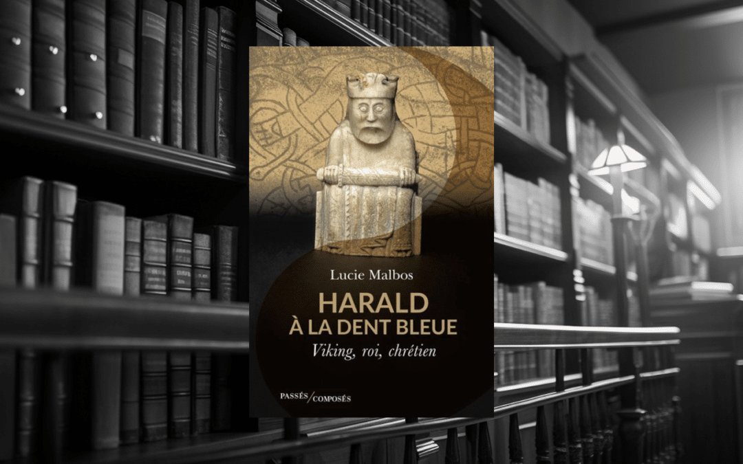 Livre : Harald à la dent bleue – Viking, roi, chrétien